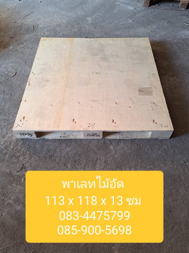 พาเลทไม้อัดพื้นเรียบ ขาล้อม 113*118*14 ซม. ราคาตัวละ 60 บาท