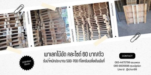 ลดต้นทุนค่าขนส่งทันที! พาเลทไม้อัดคละไซต์ ราคาเพียง 60 บาท ลดต้นทุนค่าขนส่งทันที! พาเลทไม้อัดคละไซต์ ราคาเพียง 60 บาท