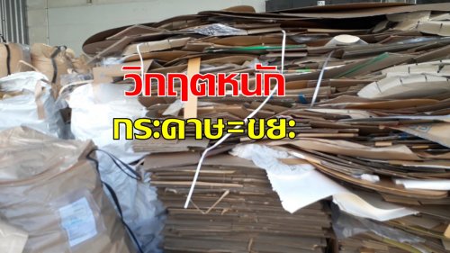 วิกฤต กระดาษเท่ากับขยะ